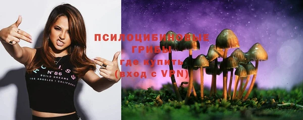 гидропоника Алексин