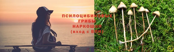 mix Козельск